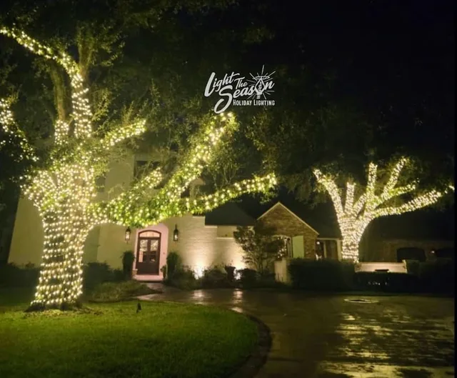 Tall trees wrapped in warm-white holiday lights against the night sky