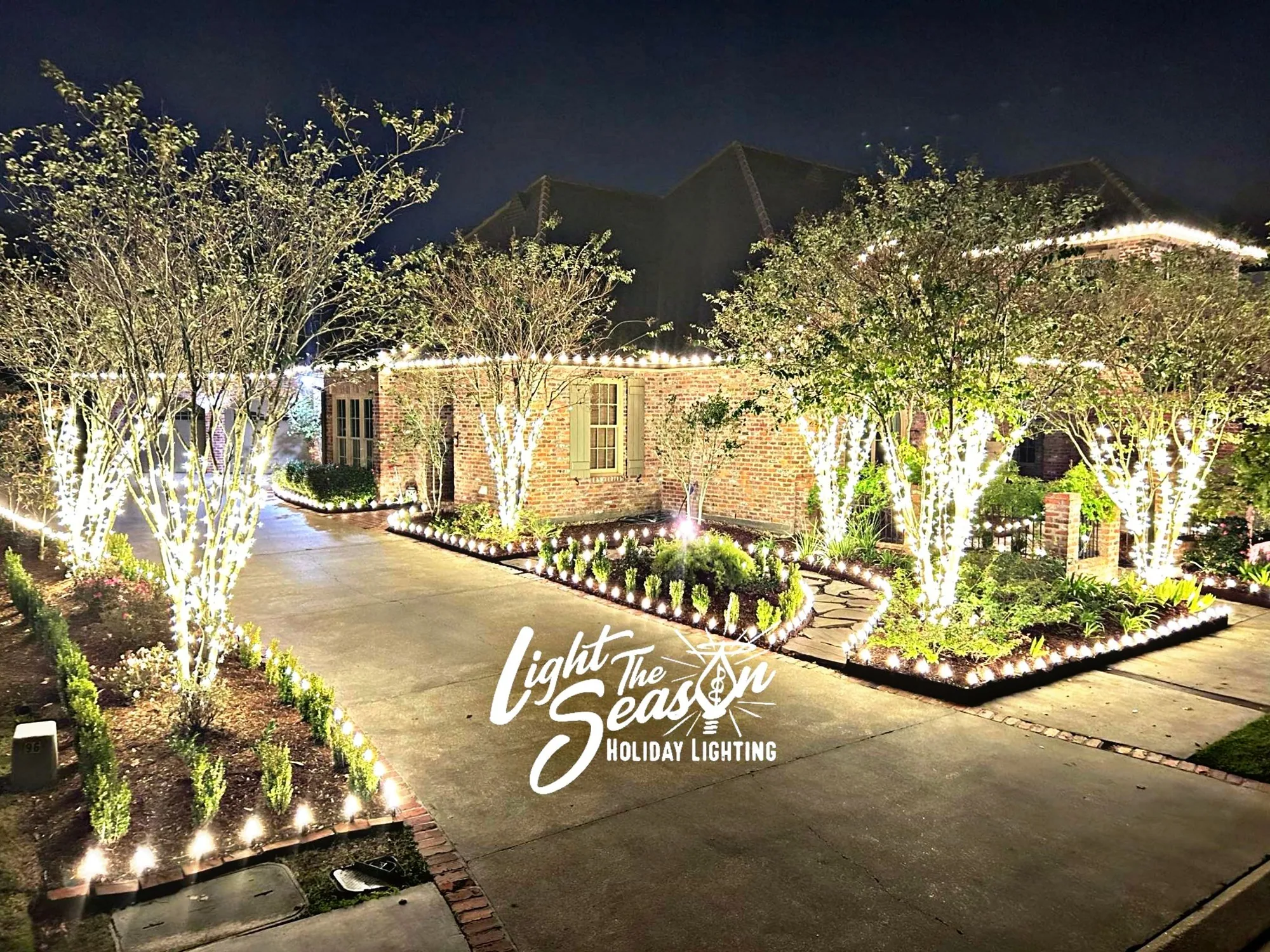 Driveway lined with trees wrapped and uplit in warm-white lights leading to a decorated home at night